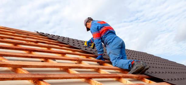 Best Roof Moss and Algae Removal  in Homeacre Lyndora, PA